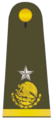 Gral brigadier