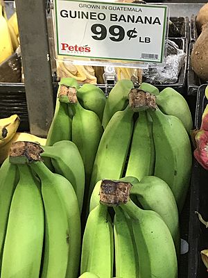 Archivo:Guineo banana 99¢ lb B