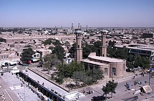 Herat view mosques.jpg