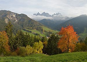 Herbstpanorama Sankt Magdalena Villnöß.jpg