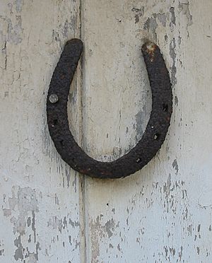 Archivo:Horseshoe lucky on door