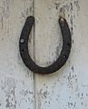 Horseshoe lucky on door