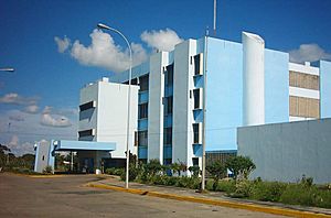 Archivo:Hospital José Antonio Páez, Guasdualito, estado Apure