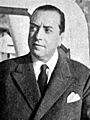 Julio Barrenechea Pino