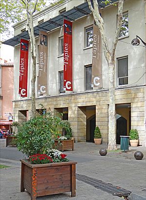 Archivo:Le musée dart moderne de Céret (8120454521)