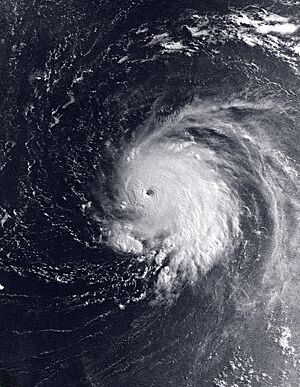 Archivo:Lee 2023-09-08 0520Z (Nighttime Visible Imagery)