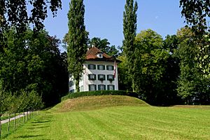 Archivo:Luzern Haus Tribschen
