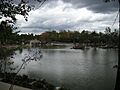 Meijer Gardens October 2014 41 (Japanese Garden)