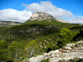 Morrón de Espuña.jpg