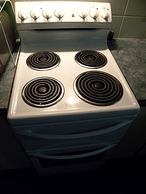 Archivo:OvenElectric