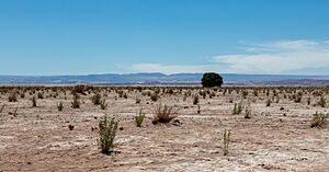 Archivo:Paisaje en el desierto de Atacama, Chile, 2016-02-06, DD 16