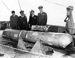 Archivo:Palomares H-Bomb Incident