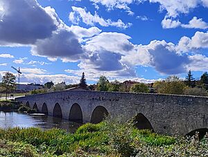 Archivo:Puente de Villodas 01