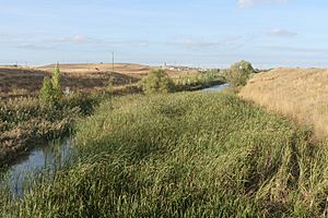 Archivo:Río Valderaduey a su paso por Pobladura de Valderaduey