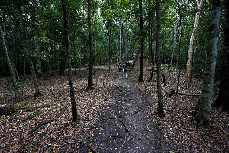 Sacbe, Maya road (3266729756)