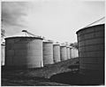 Shelby County, Iowa. These granaries are located near Irwin Village, and much of the corn which is n . . . - NARA - 522350