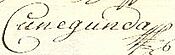 Firma de María Cunigunda de Sajonia