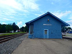 Silver Springs Station - June 2015.jpg
