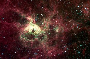 Archivo:Spitzer-TarantulaNebula