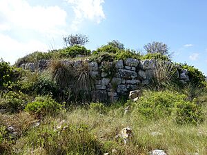 Archivo:Talaiot de Pula 22