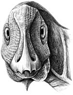 Archivo:Telmatosaurus with pathology