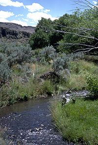 Archivo:Willow Creek, Trout Creek Mountains, Oregon