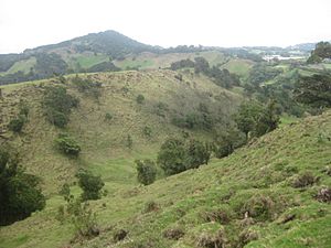 Archivo:Zona Protectora El Chayote (Pueblo Nuevo)