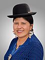 Zulay Mamani Apaza (Official Photo, 2020) Chamber of Deputies of Bolivia