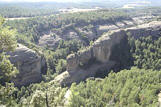 0008-torrent pregon i ribera salada.JPG