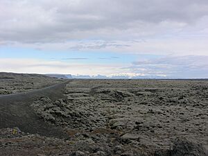 Archivo:2006-05-23-135437 Iceland Kirkjubæjarklaustur