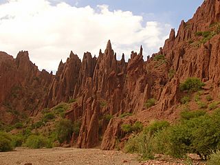 227. Tupiza, camino hacia el Cañon del Inca (10).JPG