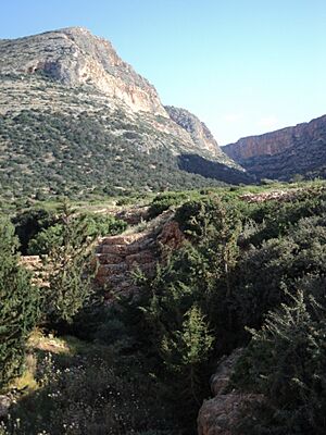 Archivo:A wadi east of Susa01