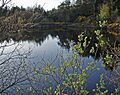 Archallagan Pool - geograph.org.uk - 461491