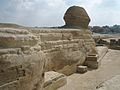 Back of Sphinx, Giza Egypt