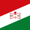 Bandera del Municipio de Laguna Paiva