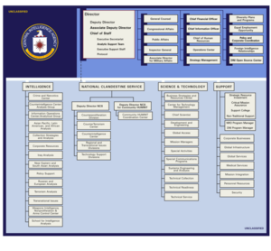 Archivo:CIA ORG Structure