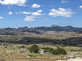 Campos de Hernán Perea 24J 01.jpg