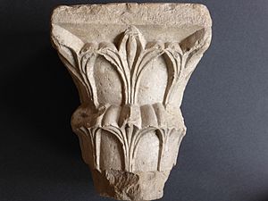 Archivo:Capitel gótico medieval, con motivos vegetales, en piedra con fósiles de nummulites, Gerona o Girona, España, Spain