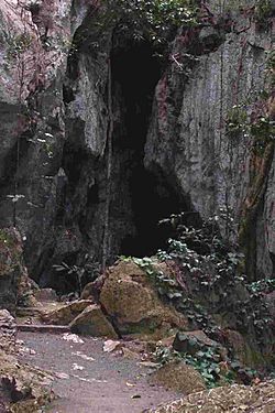 Capricornia Caves Entrance.jpg