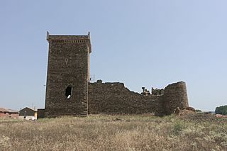 Castillo de Villanueva de Jamuz 01.jpg