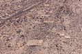 Cerros Pintados, Pampa del Tamarugal, Chile, 2016-02-11, DD 117