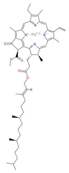 Chlorophyll a