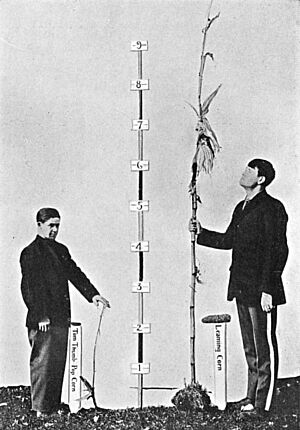Archivo:Critique of the Theory of Evolution Fig 076