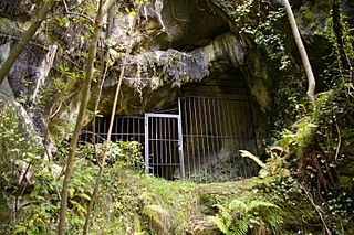 Cueva de Askondo.JPG