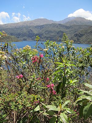 Archivo:Cuicocha Lake Ecuador Reserva ecológica Cotacachi-Cayapasm, pic.bbb