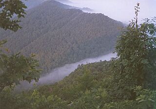 Cumberland Gap foggy.jpg