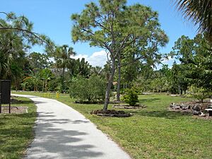 Archivo:Deerfield-arboretum