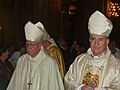 Errazurizymedina