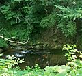 Euclid Creek c 7-17-11