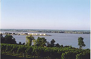 Archivo:Garonne confluent Dordogne